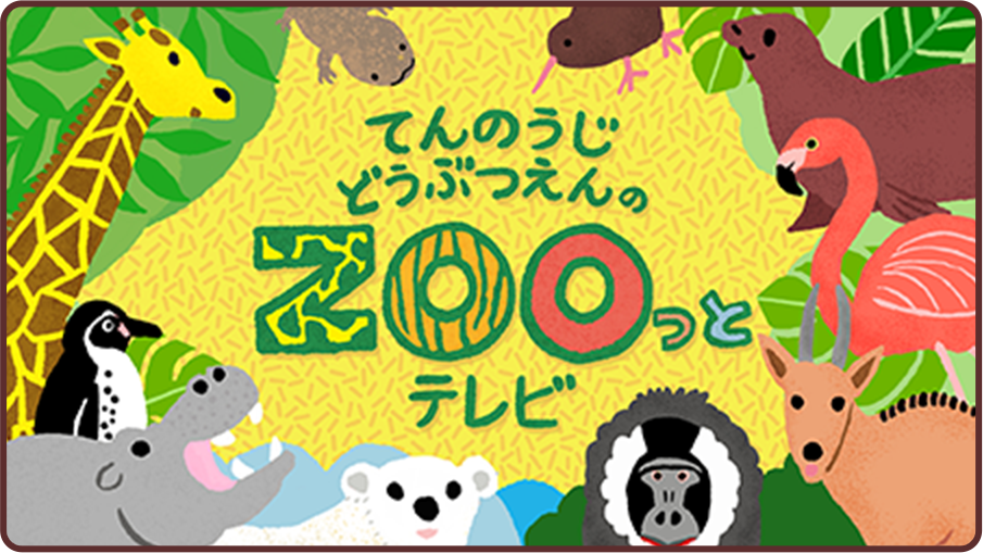 てんのうじどうぶつえんのZOOっとテレビ